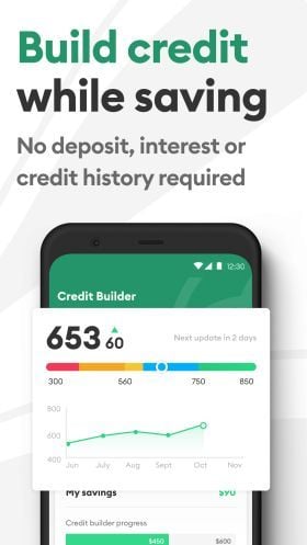 Brigit: Borrow Build Credit